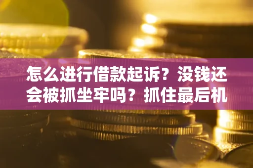 北京怎么进行借款起诉？没钱还会被抓坐牢吗？抓住最后机会！