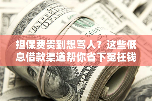 北京担保费贵到想骂人？这些低息借款渠道帮你省下冤枉钱