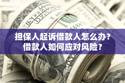 北京担保人起诉借款人怎么办？借款人如何应对风险？