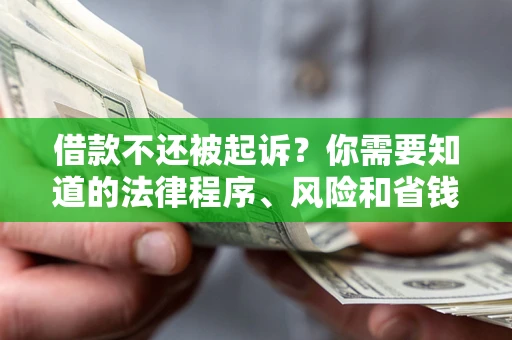 北京借款不还被起诉？你需要知道的法律程序、风险和省钱技巧